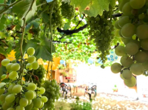 Гостиница Apartment Olivar  Мадрид